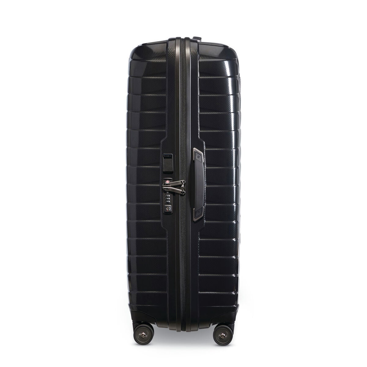 Proxis Extra Large Spinner